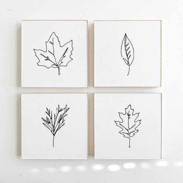 6 x 6 Leaf Line Drawing (Pine)
